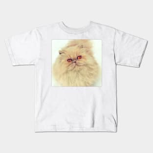 Who are you calling a big ball of fur? Kids T-Shirt